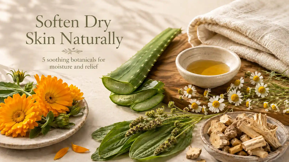 Best herbs for dry skin, natural botanicals for moisture and relief