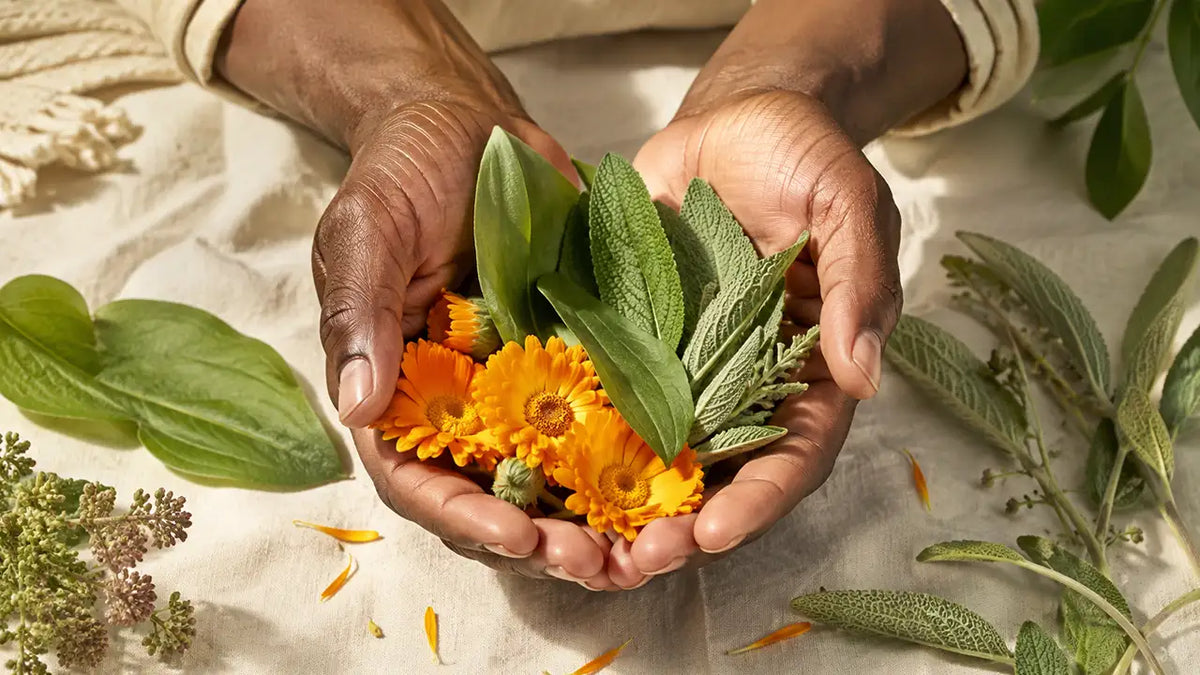 The old-way guide to herbs for skin healing and repair