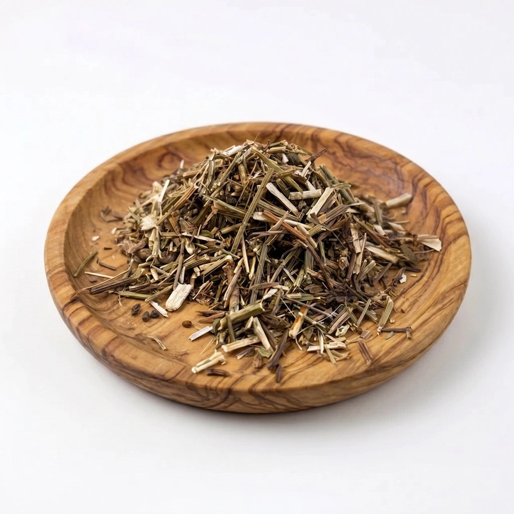 Blue Vervain: Calming Herb for Stress and Nervous System Wellness