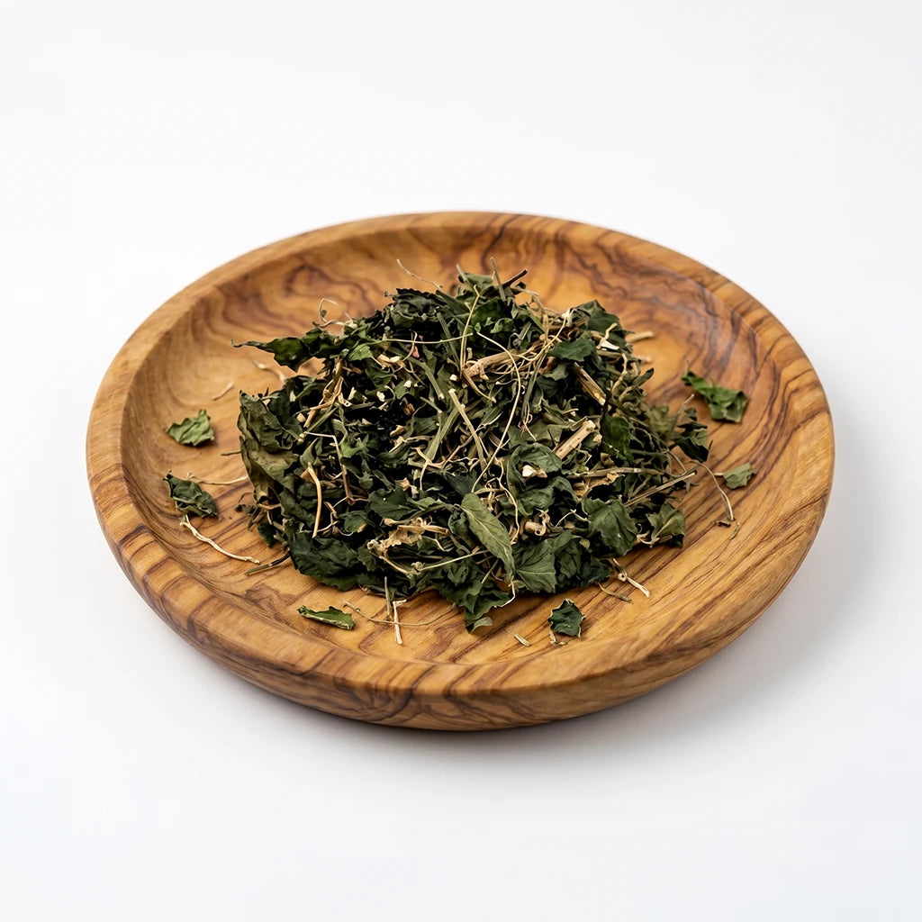 Dog Blood: Jamaican Women's Herb for Uterine Wellness